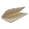 World Centric Fiber Hinged Containers, 13.7 x 6.6 x 1.3, Natural, Paper, 200PK PB-SC-U13-LFS - alternate 1
